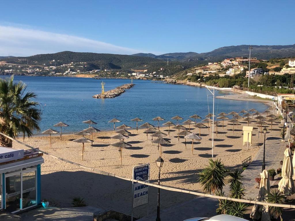 Apartment Sea Front Agios Nikolaos (Crete)
